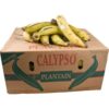 Carton de plantain jaune - Yellow plantain box – Image 2