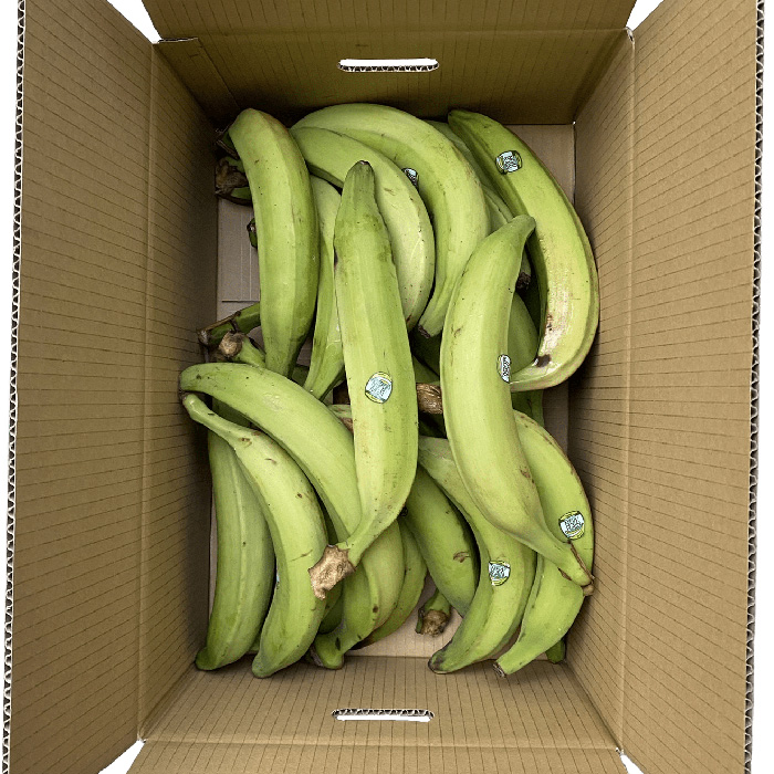 Carton de plantain vert