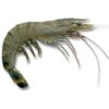 Crevettes Crues entières surgelé – Image 2