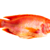 Le Tilapia rouge 500/800gr – Image 2