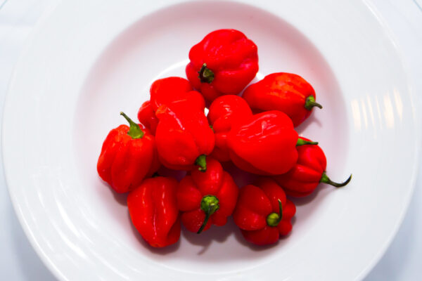 piment rouge congelé – Image 2