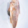 poisson Bar - yellow croaker – Image 2