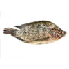 Tilapia gris 500/800gr