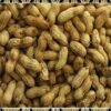 Arachide frais 1Kg – Image 2
