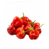 piment rouge congelé