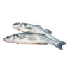Poisson Bar petite tête 1kg