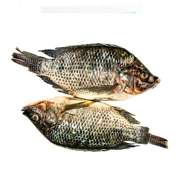 Tilapia gris 300/500gr